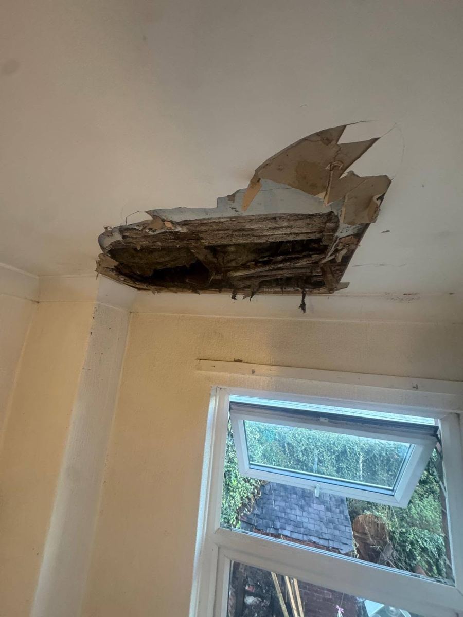 Ceiling section collapsed after a hidden roof leak