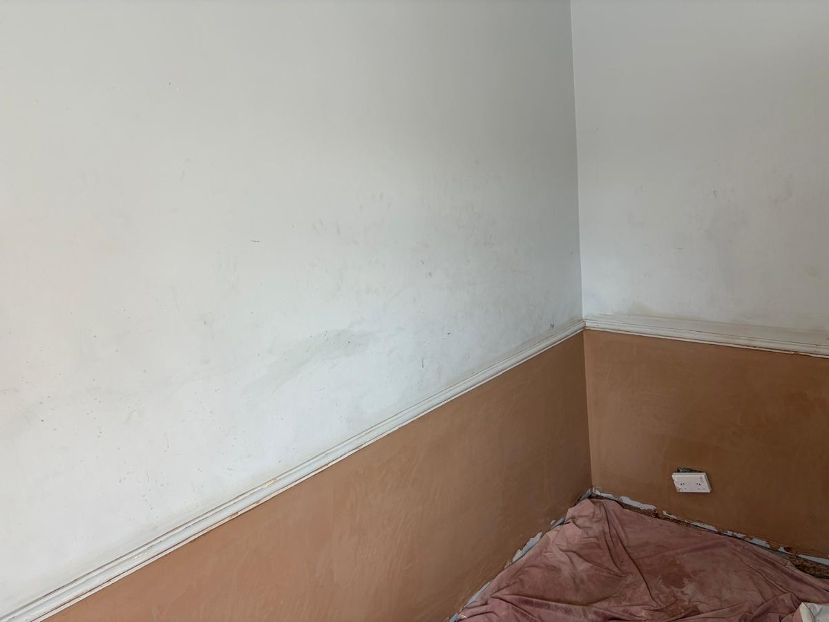 A room corner replastered below the picture rail to a smooth finish