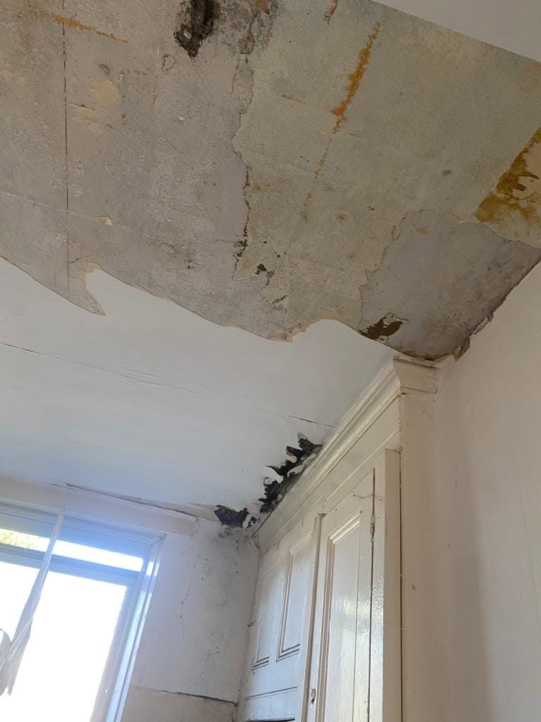 Paint and plaster peeling and flaking from a damp-damaged ceiling
